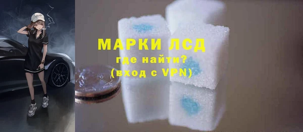стаф Верея