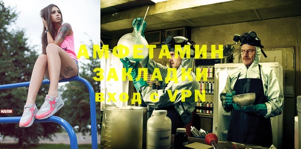 стаф Верея