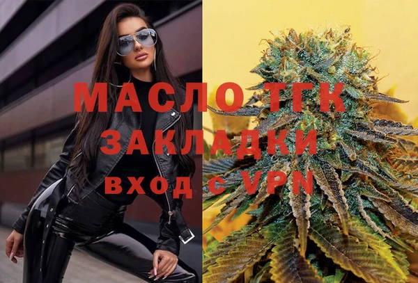 стаф Верея