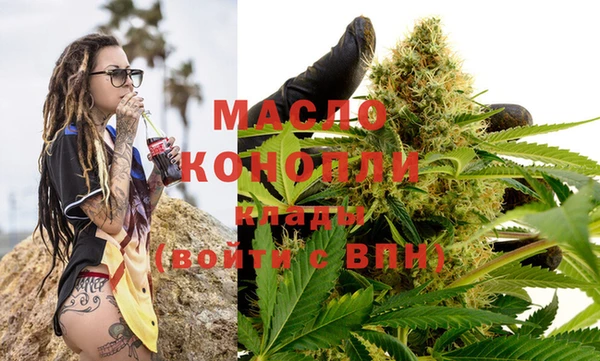 стаф Верея
