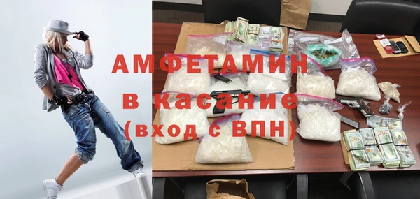 стаф Верея