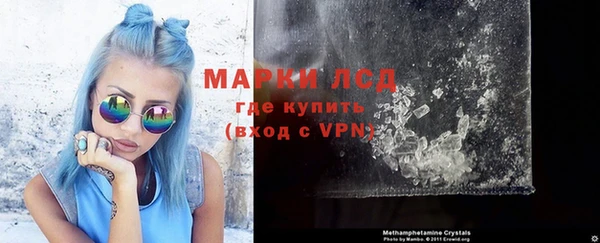стаф Верея
