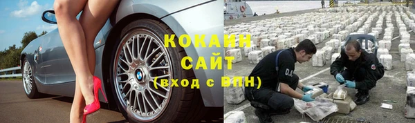 стаф Верея